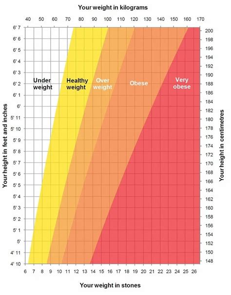 The Bmi Scale Bpm And Blood Pressure