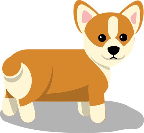 Corgi Hond Gratis Vectorafbeelding Op Pixabay