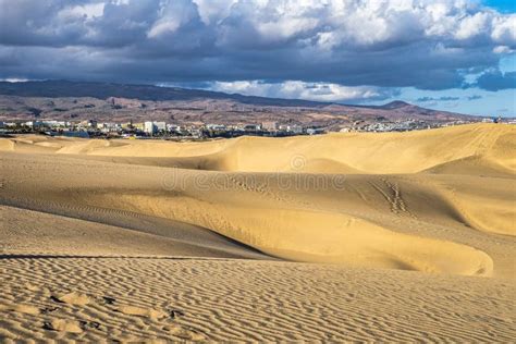 Maspalomas Sand Dunes On The South Coast Of The Island Of Gran Canaria