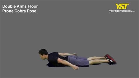 Floor Cobra Exercise Online Degrees