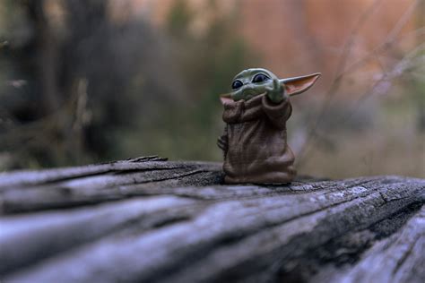 Expert on Baby Yoda's cuteness available to media | News
