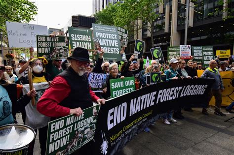 Rally Calls For Native Forests To Be Protected Green Left