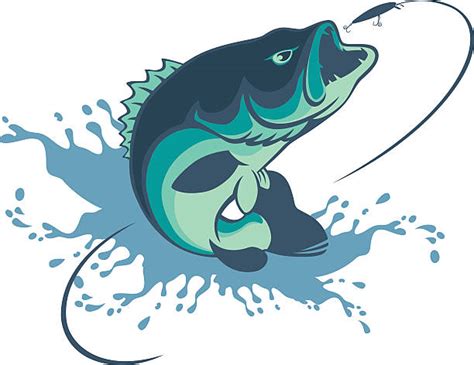 Largemouth Bass Vetores E Ilustrações De Stock Istock