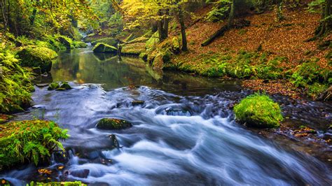 Beautiful Hd Wallpapers : Beautiful Nature Forest River Wallpapers Hd ...