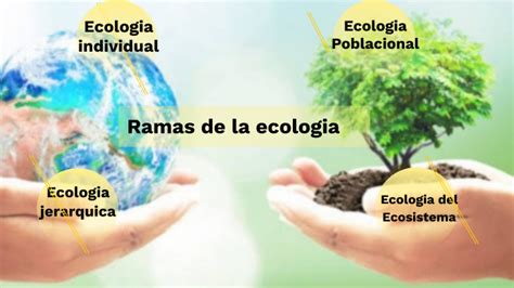 3 Ramas De La EcologÍa Mind Map