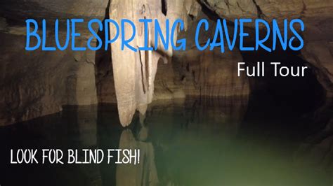 Exploring Bluespring Caverns Full Tour Bedford Indiana Youtube