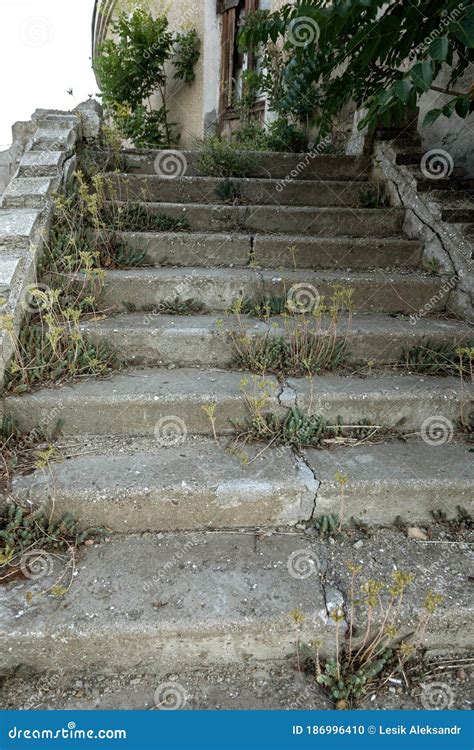 Old Overgrown With Destroyed Stone Balustrades Old Antique Steps Of A
