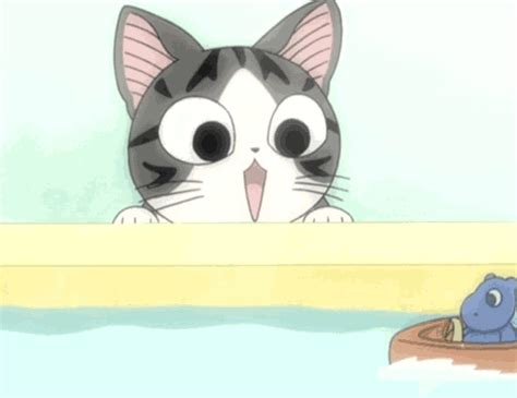 Kawaii Animu Cats Imgur Chis Sweet Home Anime Cat Cat 
