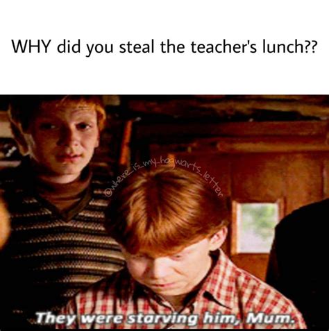 Harry Potter 10 Ron Weasley Memes That Potterheads Will Love