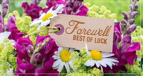 These are exciting changes, and i'm sure you will meet the challenges in new job with your usual. Farewell Messages: Best Farewell Wishes | 143 Greetings