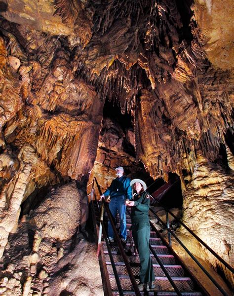 Mammoth Cave National Park