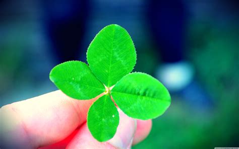 Browse 3,224 four leaf clover stock photos and images available, or search for st patricks day or shamrock to find more great stock photos and pictures. 10 Top Four Leaf Clover Wallpaper FULL HD 1920×1080 For PC ...