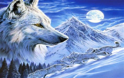 Ice Wolf Wallpaper Fresh Ice Wolf Wallpapers Wallpaper 60a