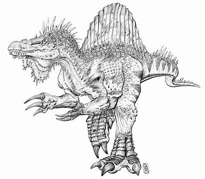 Spinosaurus Coloring Pages Dinosaur Sheets Jurassic Realistic