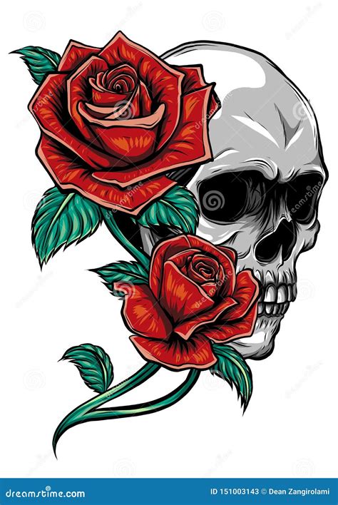 Skull With Roses Memento Mori Cartoon Vector 137281427