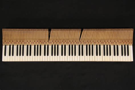 Set Of Ivory And Ebony Piano Keys 88 Keys