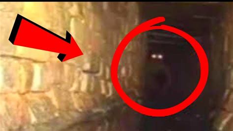 Top 11 Scary Creatures Caught On Camera Youtube