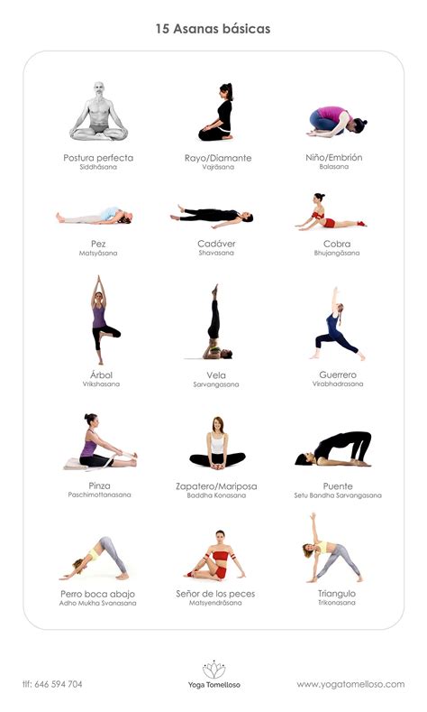 15 Posturas básicas de yoga