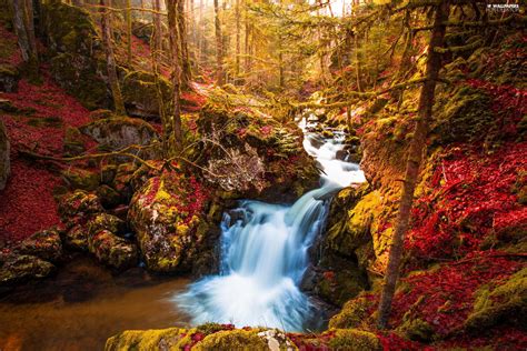 Trees Autumn River Cascade Viewes Forest For Desktop Wallpapers