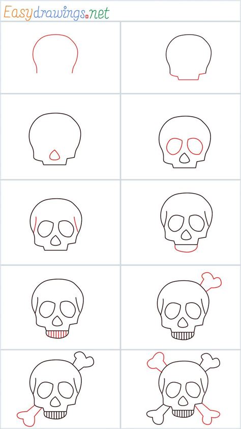How To Draw A Skull Step By Step 10 Easy Phase Easy Halloween