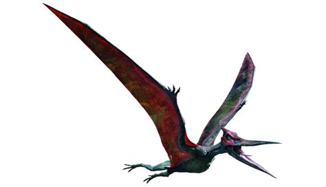 Pteranodon Wikia Jurassic Park Fandom