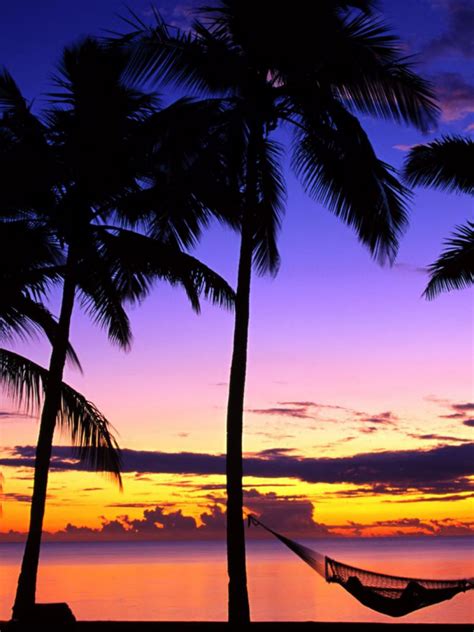 Free Download Free Download Relaxing Beach 4k Sunset Wallpaper 4k