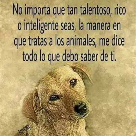 Poemas Cortos De Perros