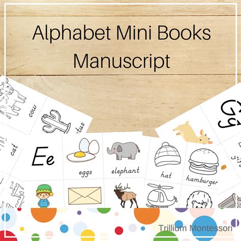 Mini Alphabet Books Manuscript Dnealian Trillium Montessori