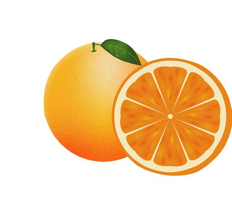 Clipart Of Oranges