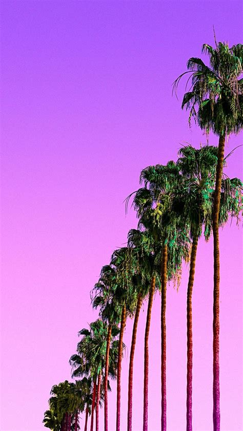 Tree Sky Palm Tree Pink Vegetation Purple In 2020 Tree Wallpaper Iphone Wallpaper Iphone