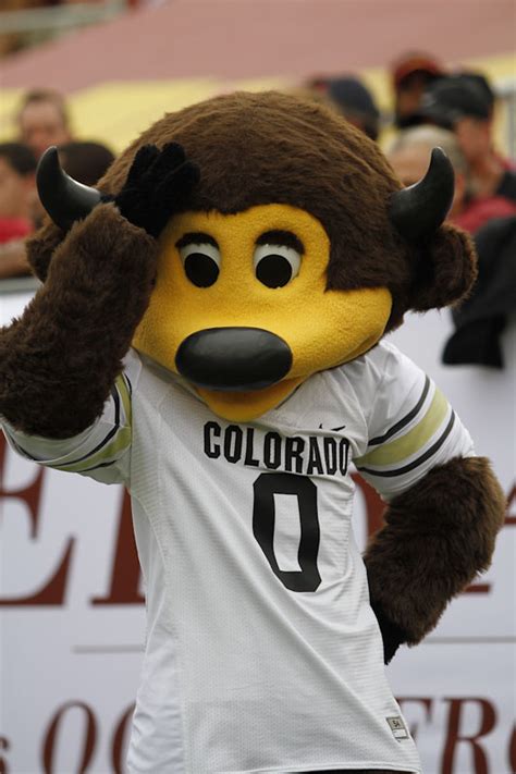 Colorado Mascot Daily Trojan
