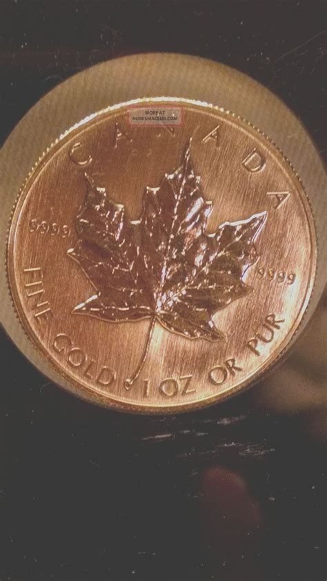 1985 Canadian 50 Gold Coin Maple Leafelizabeth Ii 1 Oz 9999