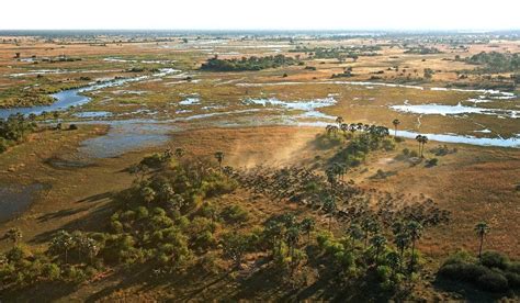 Zarafa Camp Selinda Reserve Botswana Afrika
