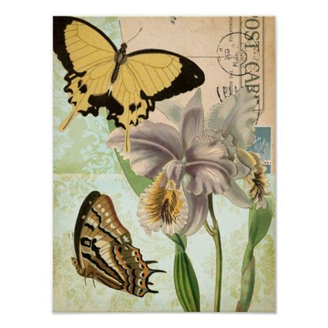 Vintage Postcard With Butterflies And Flowers Poster