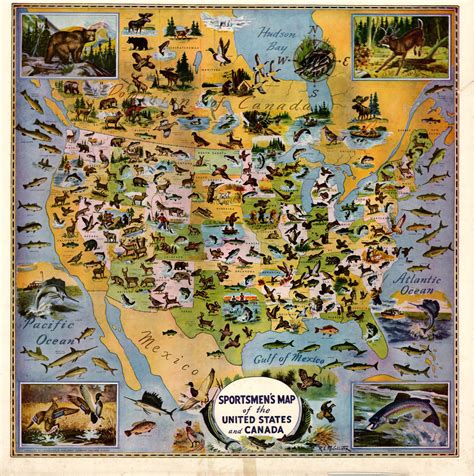 Sportsmens Map Of The United States And Canada Curtis Wright Maps