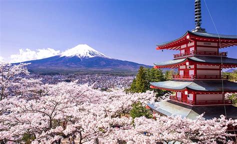 Must Visit Top 10 Beautiful Places In Japan Where To Be