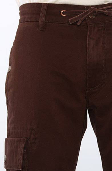 Lrg The Vintage Field Cargo Pants In Dark Brown In Brown For Men Lyst