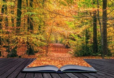 Concept Idea Of Beautiful Autumn Fall Forest Scene With Vibrant Colors | Autumn scenery, Vibrant ...