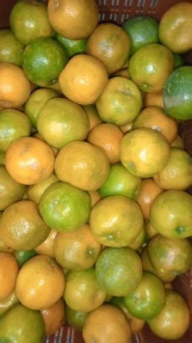 A Grade Fresh Orange Nagpur Regular At Rs 210kg Oranges In Pune Id