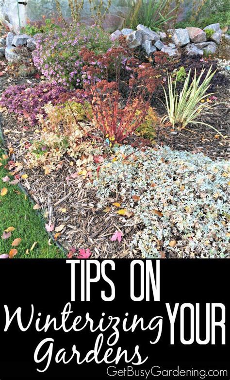 How To Winterize Your Garden In The Fall Winter Vegetables Gardening