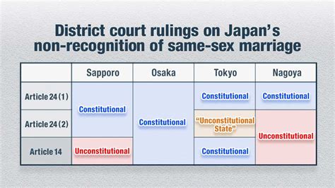 Japan Court Non Recognition Of Same Sex Marriage Is State Of Unconstitutionality Nhk World