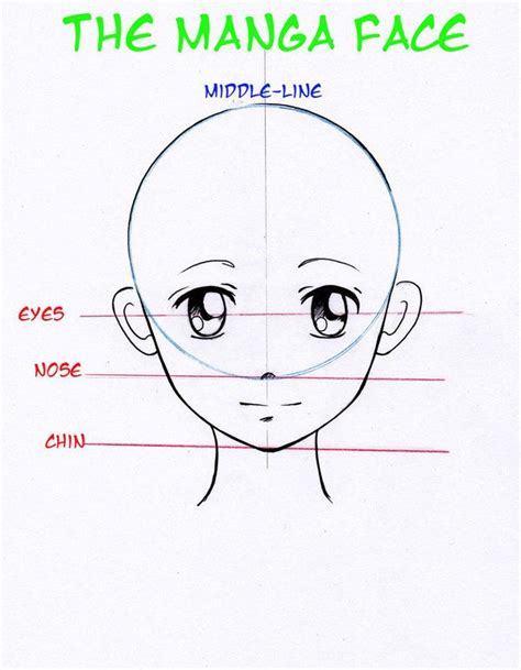 Manga Basic Head By Nevaart On Deviantart Drawing Tutorials For