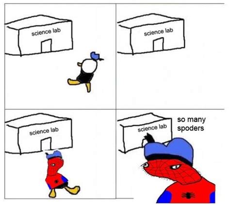 How Dolan Became Spoder Man Spoderman Spodermen Know Your Meme