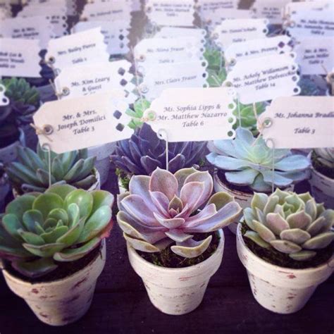 Succulent Wedding Favors By Verticalflora On Etsy