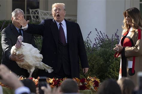the presidential turkey pardon the most awkward tradition in american politics politico magazine