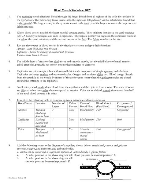 The vessels make up two closed systems of tubes systemic arteries transport oxygenated blood from the left ventricle to the body tissues. 9 Best Images of Blood Vessels Worksheet - Blood Pressure ...