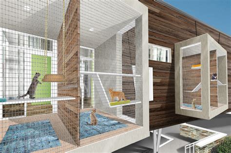 This Purr Worthy 7 Million Cat Shelter In Chicago Includes A Catfé