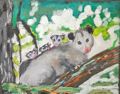 Possum Painting Original Pastel Art Animal Artwork Wildlife Etsy