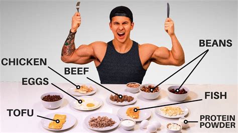 What Are The Best Protein Sources To Build Muscle Eat These Youtube