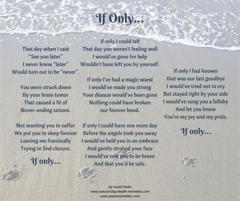 I stood by your bed last night i came to have a peep. Pet Loss Poems - Celebrating the Love and Lives of Our Dogs